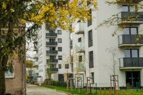 İki Sponsor, SASB Çok Aileli Kredilerinin %89'unu Kontrol Ediyor